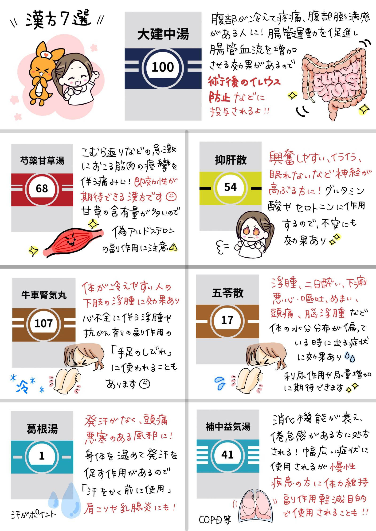 臨床でよく見る！漢方薬7選　解説画像