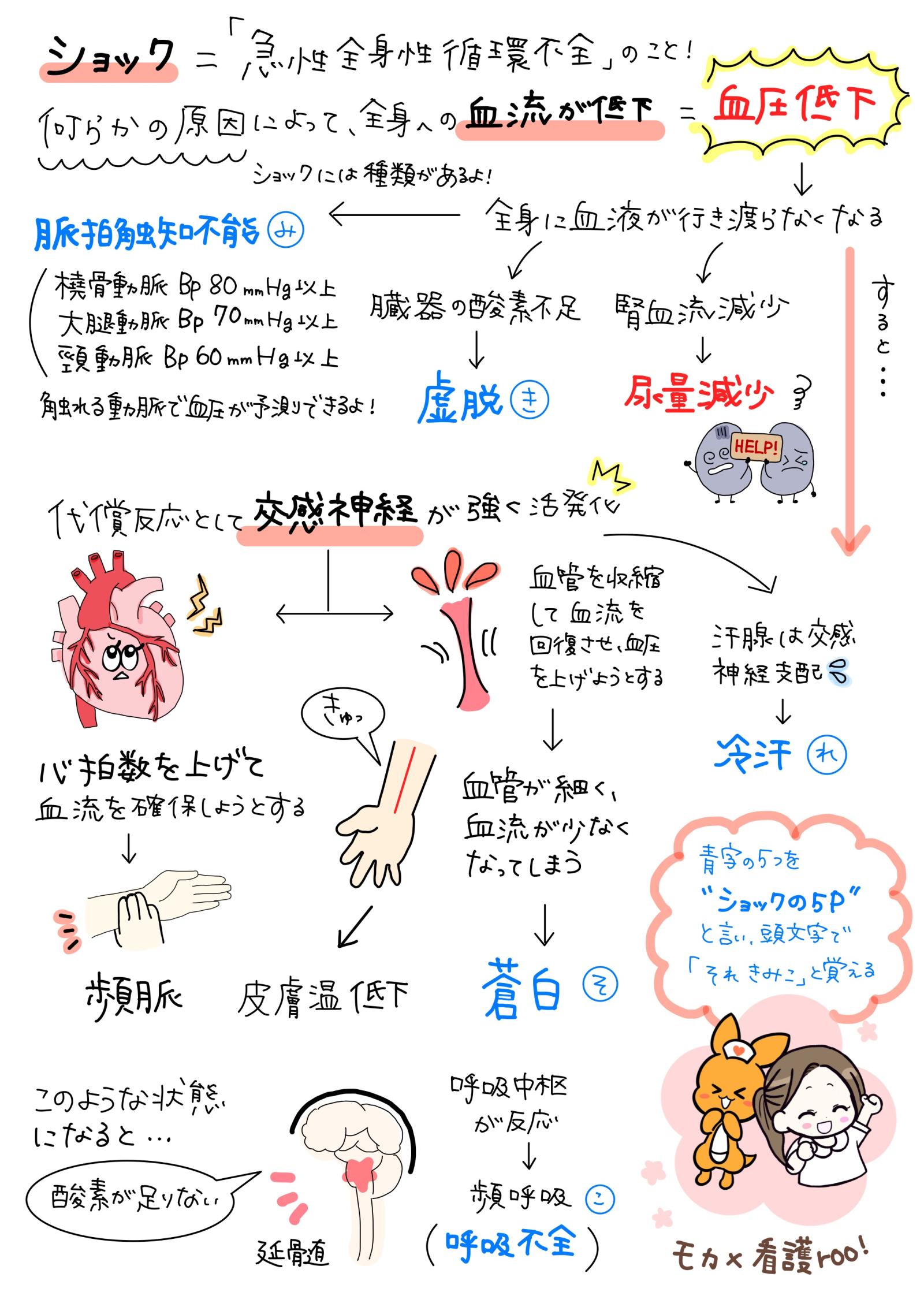 ショックの5P　解説画像