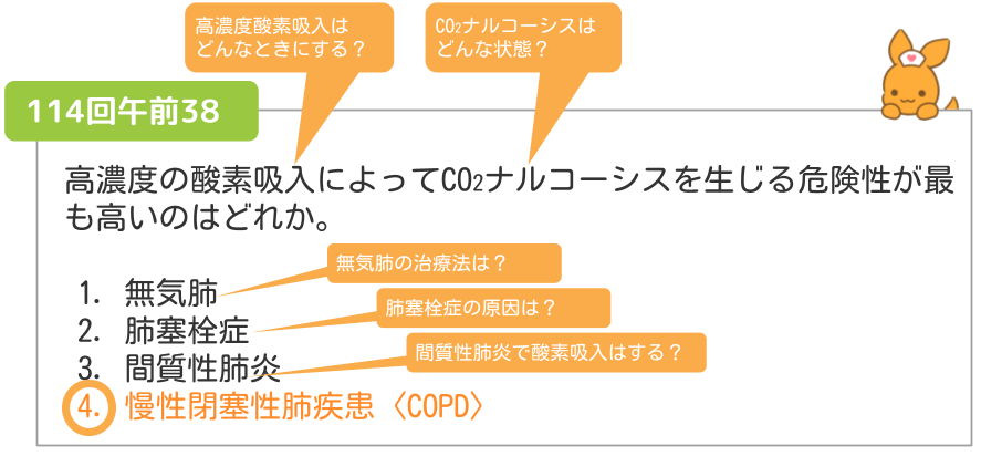 第114回午後38の解説文に登場する専門用語を1つずつ調べる例