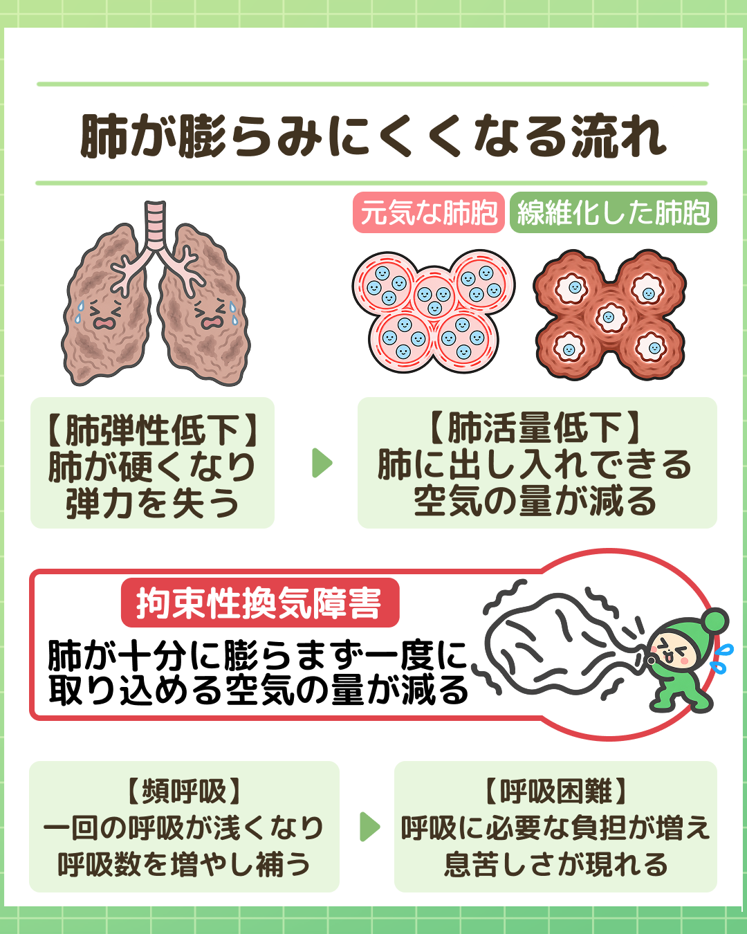 図解：肺が膨らみにくくなる流れ。【肺弾性低下】肺が硬くなり弾力を失う ＞ 【肺活量低下】肺に出し入れできる空気の量が減る ＞ 【拘束性換気障害】肺が十分に膨らまず一度に取り込める空気の量が減る ＞ 【頻呼吸】一回の呼吸が浅くなり呼吸数を増やし補う ＞ 【呼吸困難】呼吸に必要な負担が増え息苦しさが現れる。