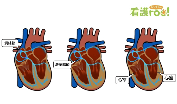 電気信号を発生するテンポは3カ所それぞれで異なる
