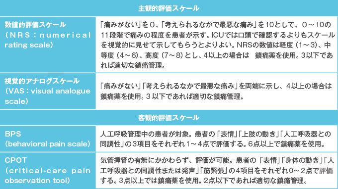 痛みの評価スケール