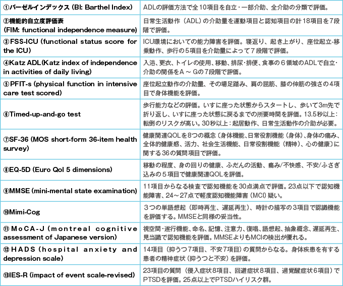 PICSにおける身体機能、認知機能、精神機能の評価項目の概要