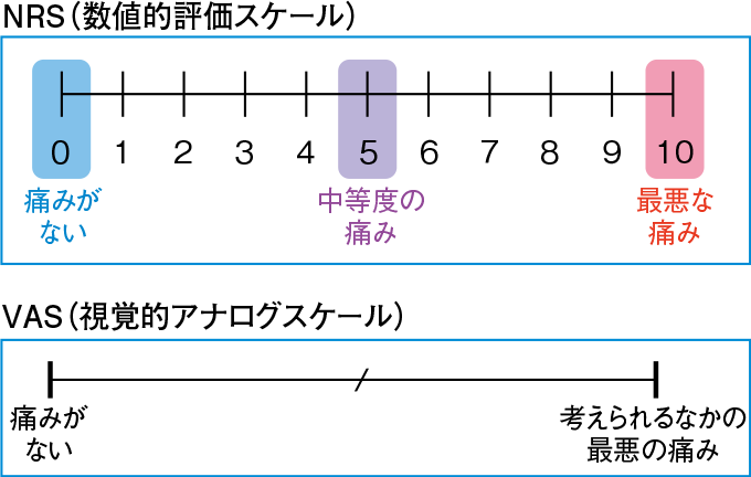主観的評価スケール