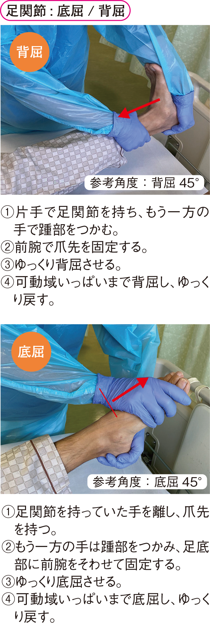 足関節 : 底屈 / 背屈