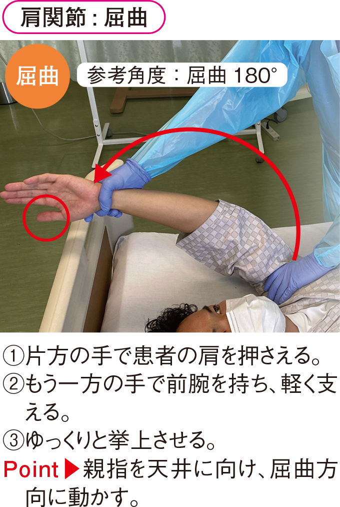 肩関節 : 屈曲