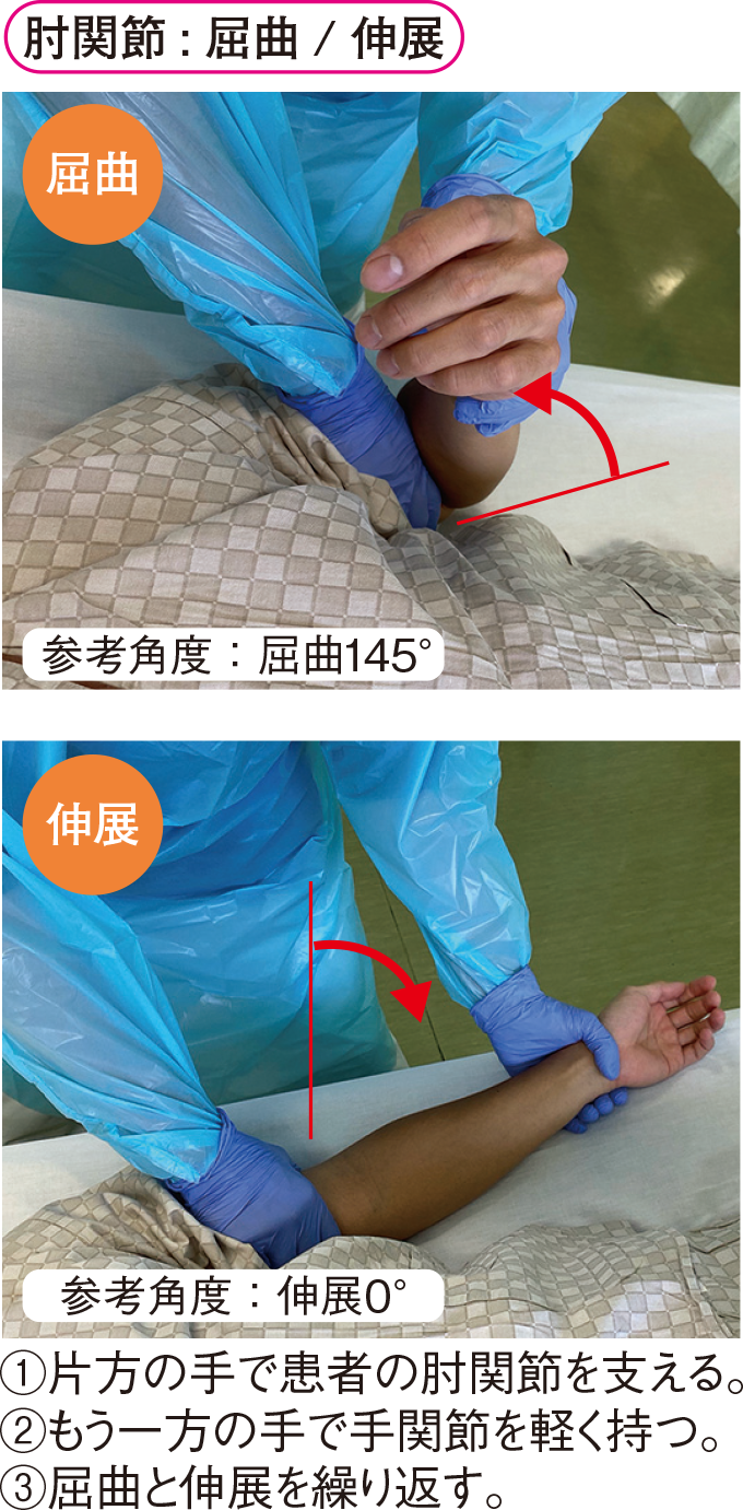 肘関節 : 屈曲 / 伸展