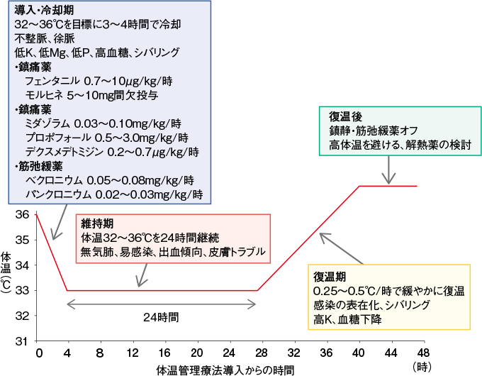 低体温療法中の鎮静・鎮痛方法