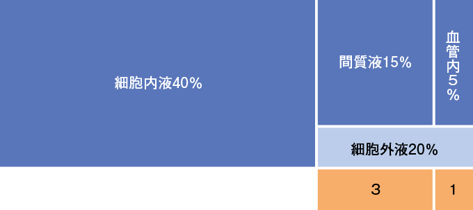 生理食塩水の分布