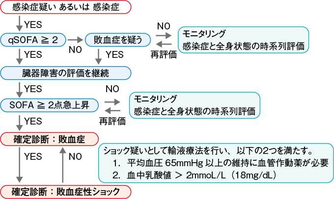 敗血症と敗血症性ショックの診断の流れ