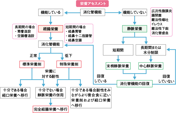 栄養投与経路の選択