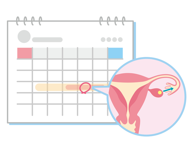 生理はコントロールできるのイメージ画像