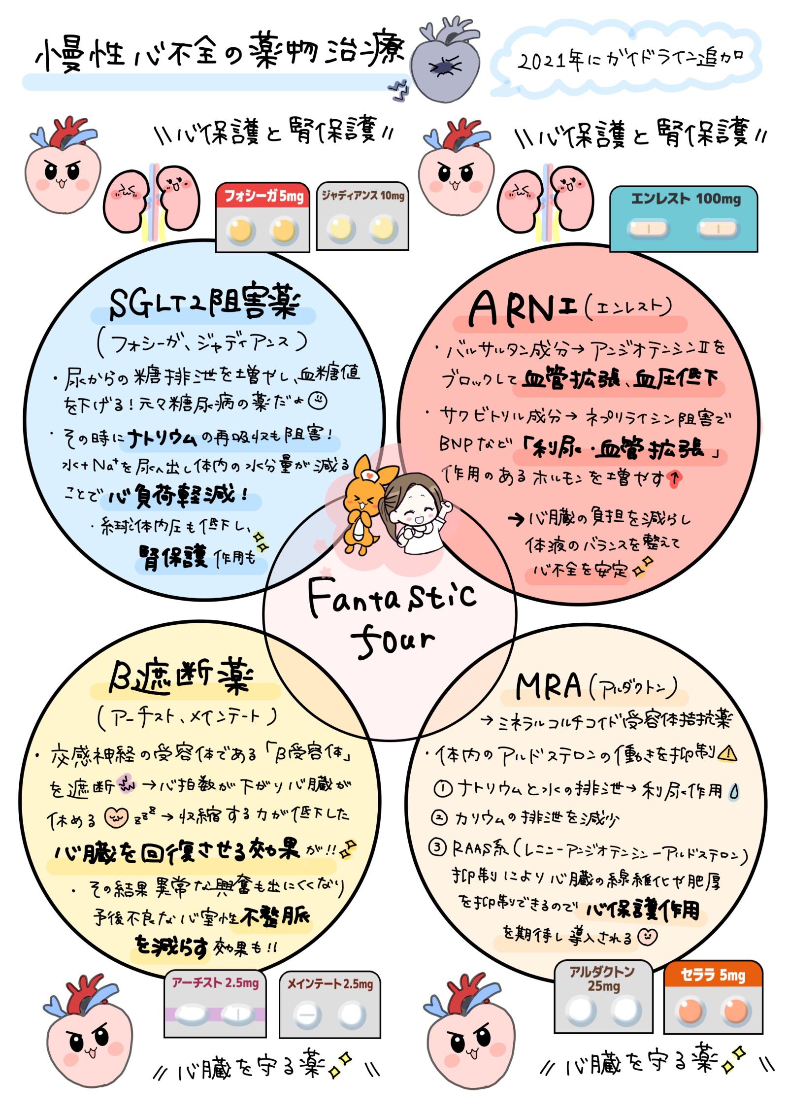 心不全の薬（ファンタスティックフォー）　解説画像