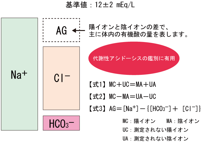 アニオンギャップが小さい原因