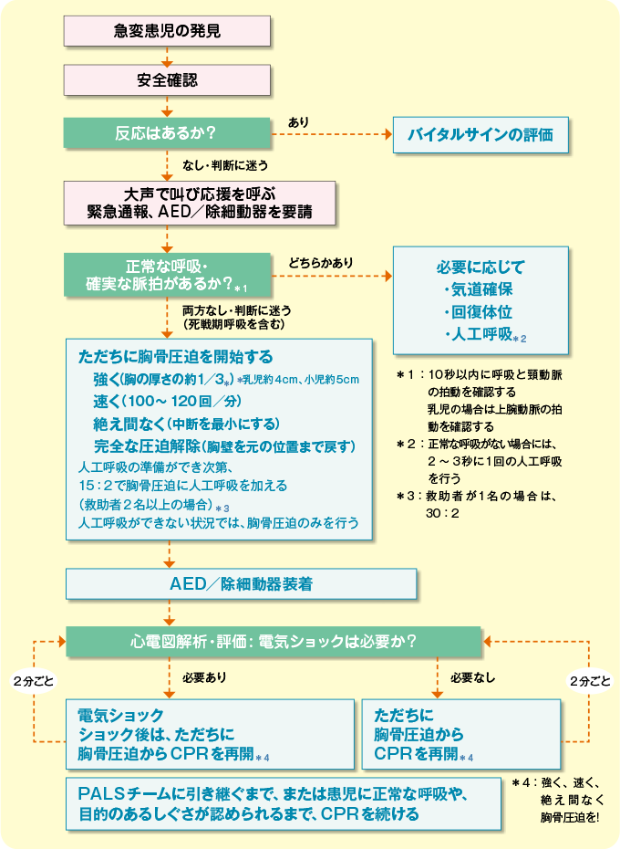 小児の心肺蘇生アルゴリズム