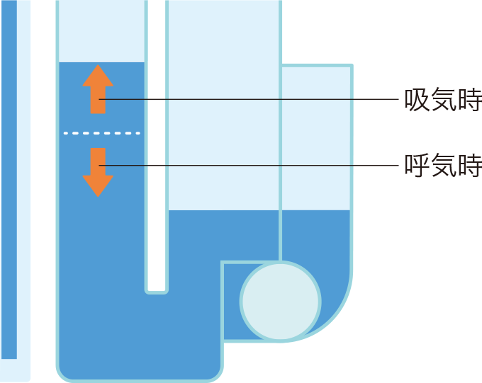 呼吸性変動を表した図