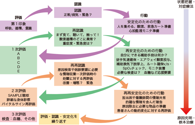 体系的アプローチのイメージ（螺旋系イメージ）を表した図