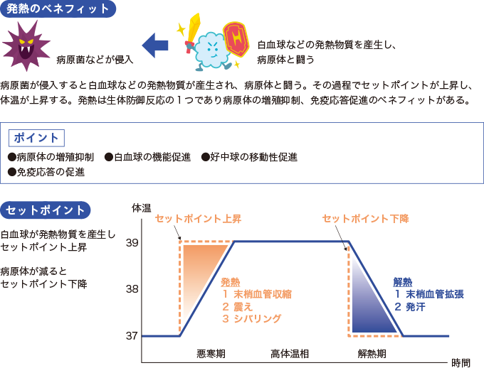 発熱の仕組みを表した図