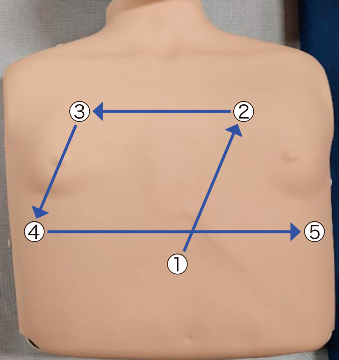 ５点聴診の仕方