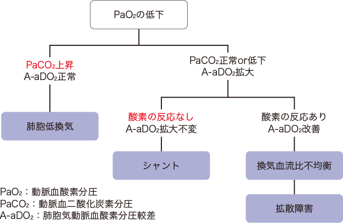 低酸素血症の鑑別を表した図