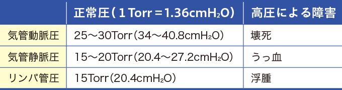 気道粘膜の血流を表した表