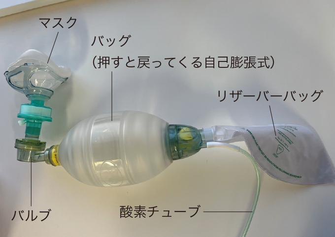 BVMの構造を表した写真