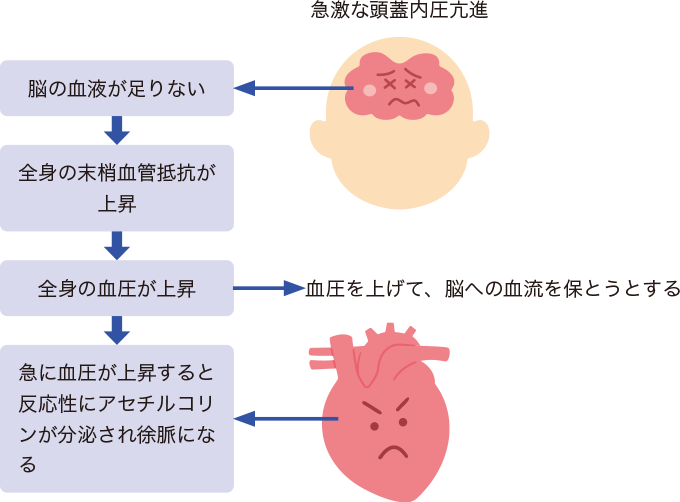 クッシング現象を表した図