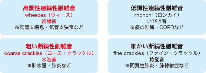 副雑音(ラッセル音)の種類を表した図