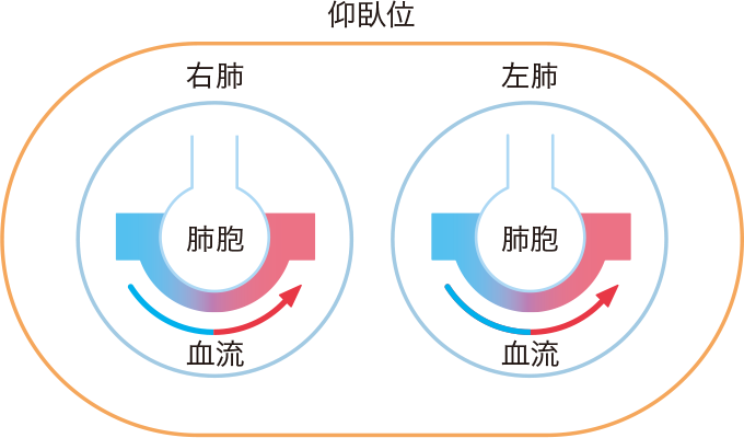 体位とガス交換のイメージ