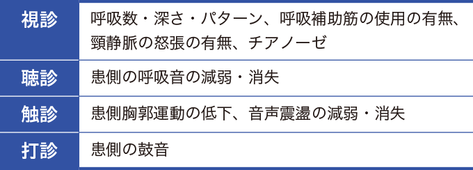 呼吸器のフィジカルアセスメントの評価項目をあらわした表