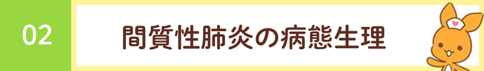 見出し「02 間質性肺炎の病態生理」