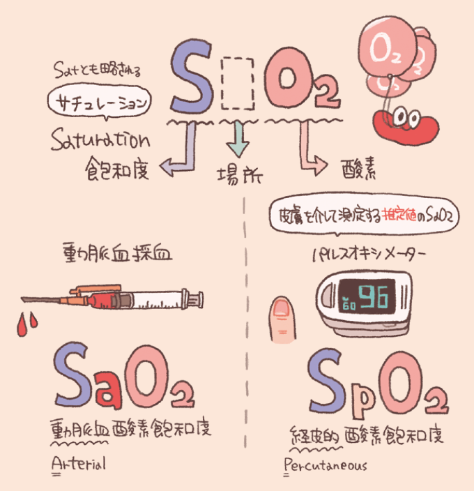 酸素飽和度(サチュレーション)を示すSaO2とSpO2の用語の意味と、それぞれの測定方法の違いを解説した図である。 動脈血採血により直接測定する値をSaO2、パルスオキシメーターを用いて皮膚越しに測定する推定値をSpO2と呼び、測定場所(ArterialかPercutaneousか)によって使い分けることが示されている。