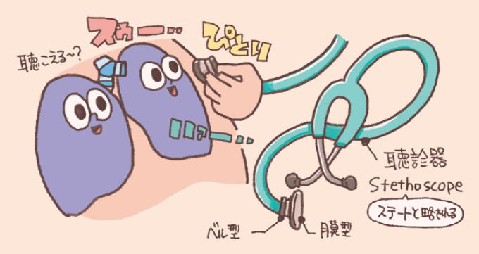 聴診器(ステート)を用いて、肺の呼吸音を聴き取る様子を解説した図である。 聴診器の先端にある「膜型」と「ベル型」の使い分けや、肺にぴたりと当てて空気の出入りする音を確認するイメージが描かれている。