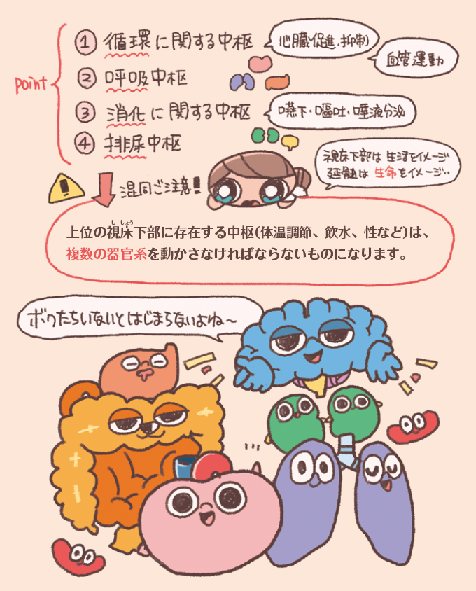 延髄と視床下部の中枢機能の違いを比較した、手書き風イラスト解説図。上部に生命維持に関わる延髄の4つのポイント、下部に高次の生活維持に関わる視床下部の機能と、全体を制御するキャラクターが描かれている。