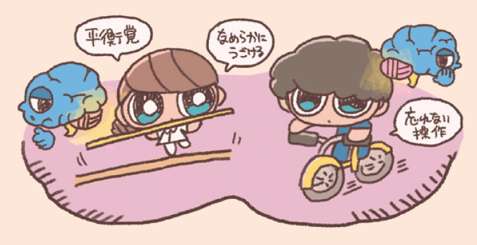 小脳の多様な機能を日常生活の場面に例えた手書き風イラスト。左側では女の子が平均台に乗り、脳のキャラクターが『平衡感覚』と説明し、小脳のバランス機能を表現。右側では男の子がピアノを弾き、別の脳のキャラクターが指揮者として『なめらかにうごける』『忘れない操作』と説明し、小脳の運動調節と手続き記憶機能を表現している。