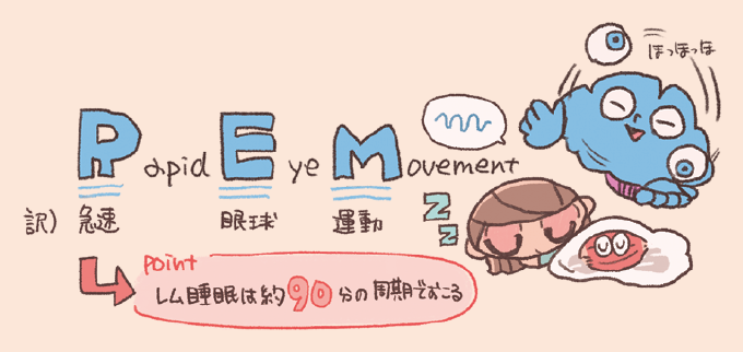 レム(REM)睡眠の名称の由来と特徴を解説した手書き風イラスト図。REMがRapid Eye Movement(急速眼球運動)の略であることや、レム睡眠は約90分の周期でおこることがキャラクターのイラストと共に描かれている。