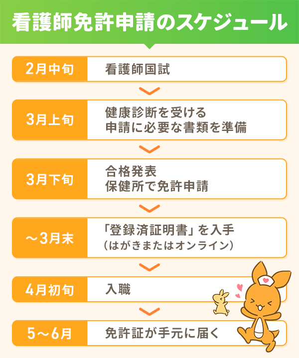 看護師免許の申請スケジュール