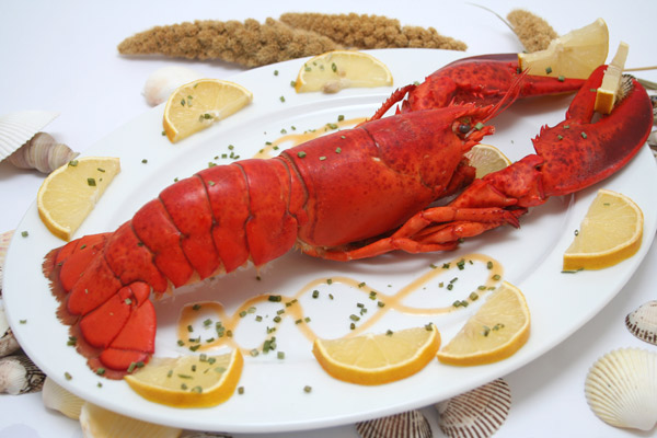 看護の日の裏番組的な過ごし方を考える003