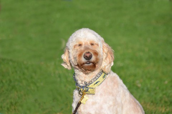 看護の日の裏番組的な過ごし方を考える006