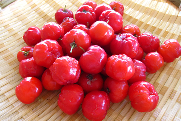 看護の日の裏番組的な過ごし方を考える001