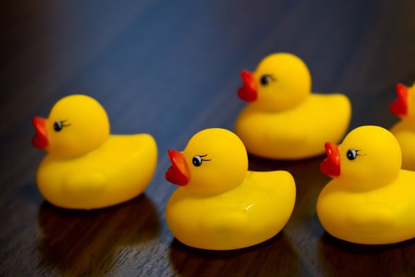 看護師専用Webマガジン ステキナース研究所 | 看護師の家計簿診断【3】