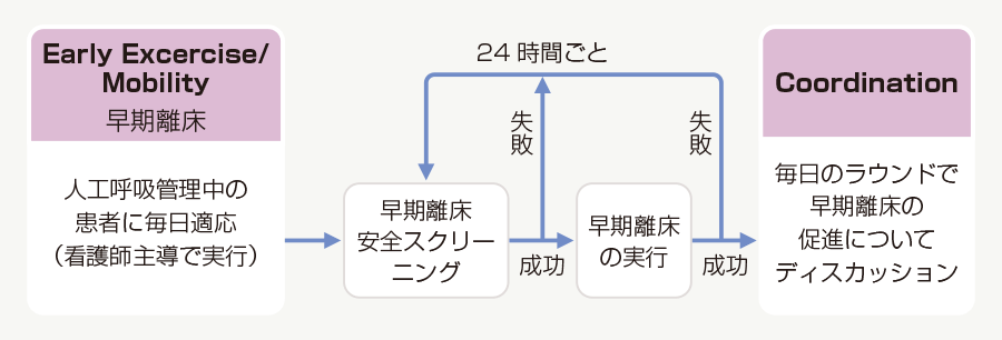 Abcdeバンドル 看護roo カンゴルー
