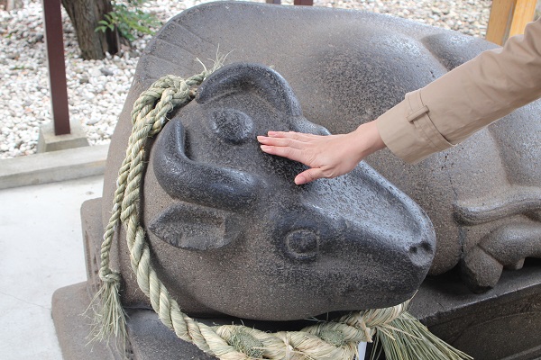 初詣はこれで完璧！いまさら聞けない神社参拝マナー7｜看護師専用Webマガジン【ステキナース研究所】