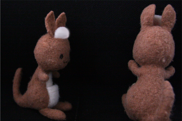 隣を見るかんごるーの画像