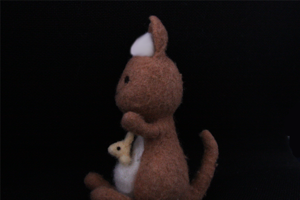 横向きのかんごるーの画像