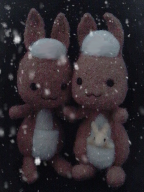 SNOWで撮影したかんごるーの画像(2体)