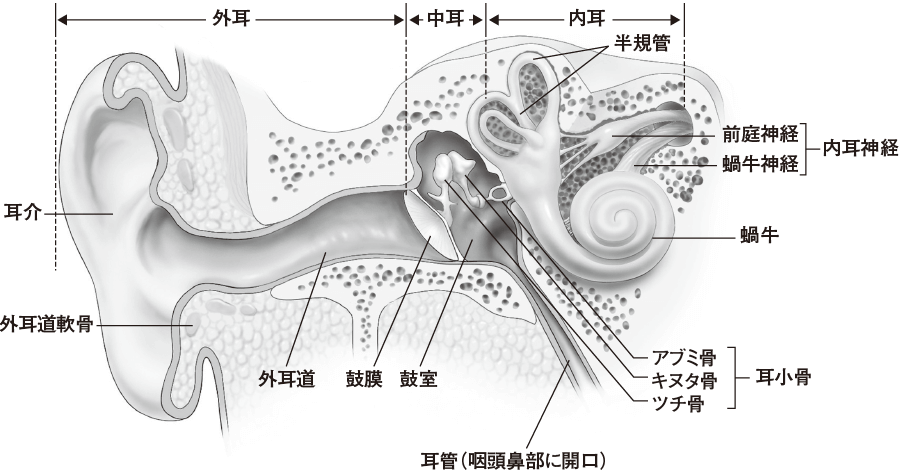 外耳道のその他の状態