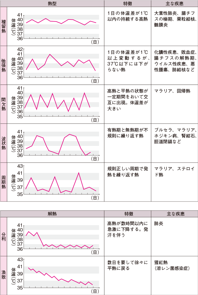 さまざまな熱型