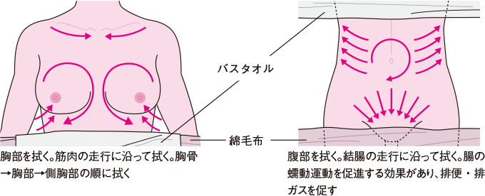 胸部・腹部の清拭のポイント
