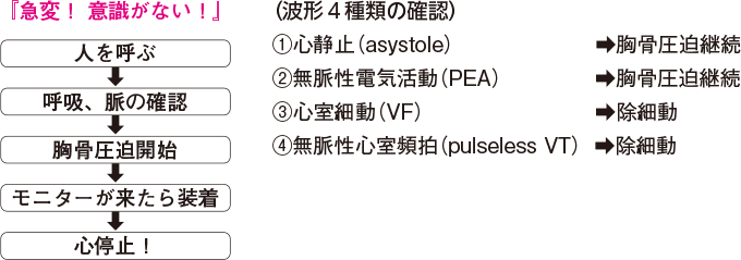 急変時の呼吸と脈の確認方法